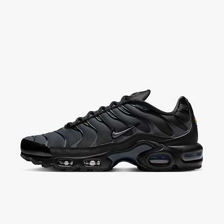 Кроссовки NIKE W AIR MAX PLUS