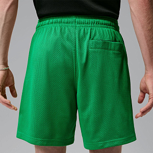 Шорты JORDAN M J BRK CHAMP MESH SHORT