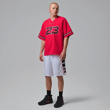 Шорты JORDAN M J BRK CAT SCRATCH SHORT