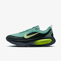 Кроссовки NIKE VOMERO 18 GTX