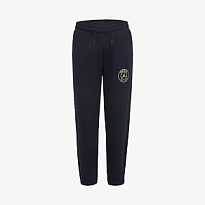 Брюки JORDAN PSG HBR FLC PANT