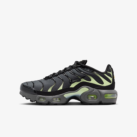 Кроссовки NIKE AIR MAX PLUS (GS)