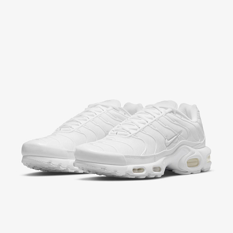 Кроссовки Nike AIR MAX PLUS