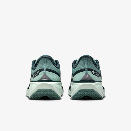 Кроссовки NIKE W AIR ZM PEGASUS 41 GTX