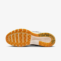 Кроссовки NIKE P-6000