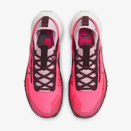 Кроссовки Nike Pegasus Trail 4 GORE-TEX