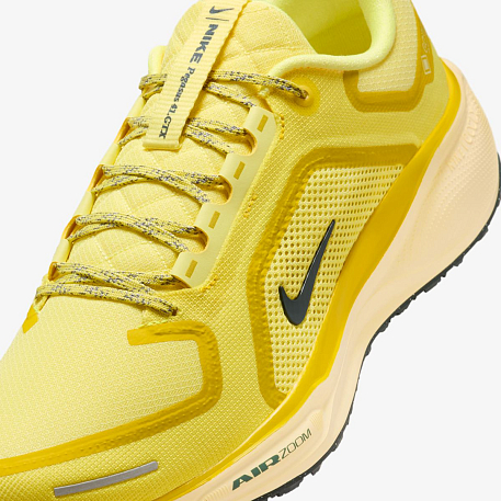 Кроссовки NIKE AIR ZM PEGASUS 41 GTX