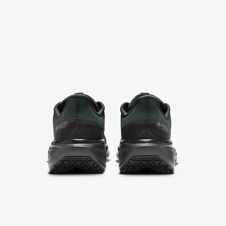 Кроссовки NIKE AIR ZM PEGASUS 41 GTX