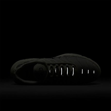 Кроссовки NIKE AIR MAX PLUS