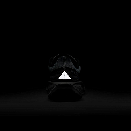 Кроссовки NIKE W AIR ZM PEGASUS 41 GTX