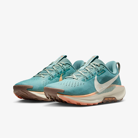 Кроссовки NIKE W REACTX PEGASUS TRAIL 5