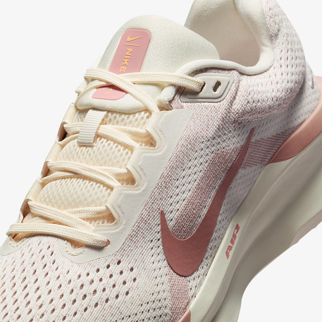 Кроссовки NIKE WMNS AIR WINFLO 11