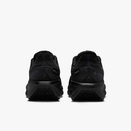 Кроссовки NIKE W AIR WINFLO 11 GTX