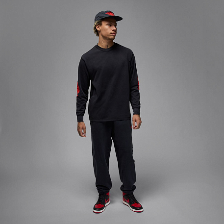 Футболка с длинным рукавом JORDAN M J RARE AIR WSH 85 LS CREW