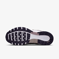 Кроссовки NIKE W P-6000
