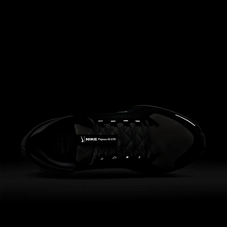 Кроссовки NIKE W AIR ZM PEGASUS 41 GTX