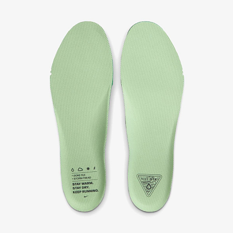 Кроссовки NIKE AIR ZM PEGASUS 41 GTX